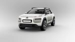 Citroen Cactus Concept 2013 года